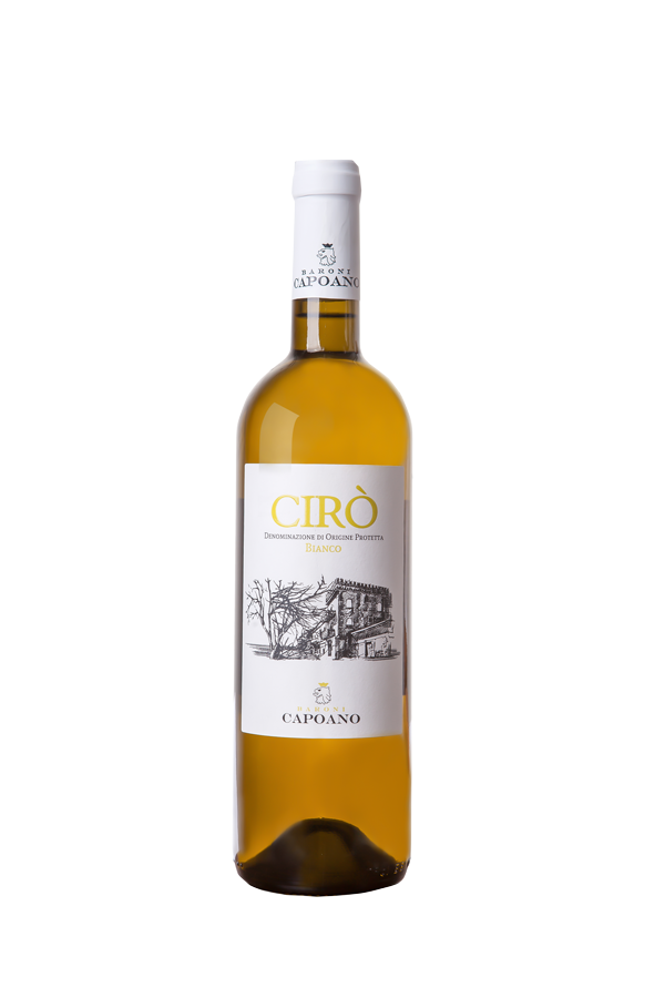 baroni-capoano-bianco-classico