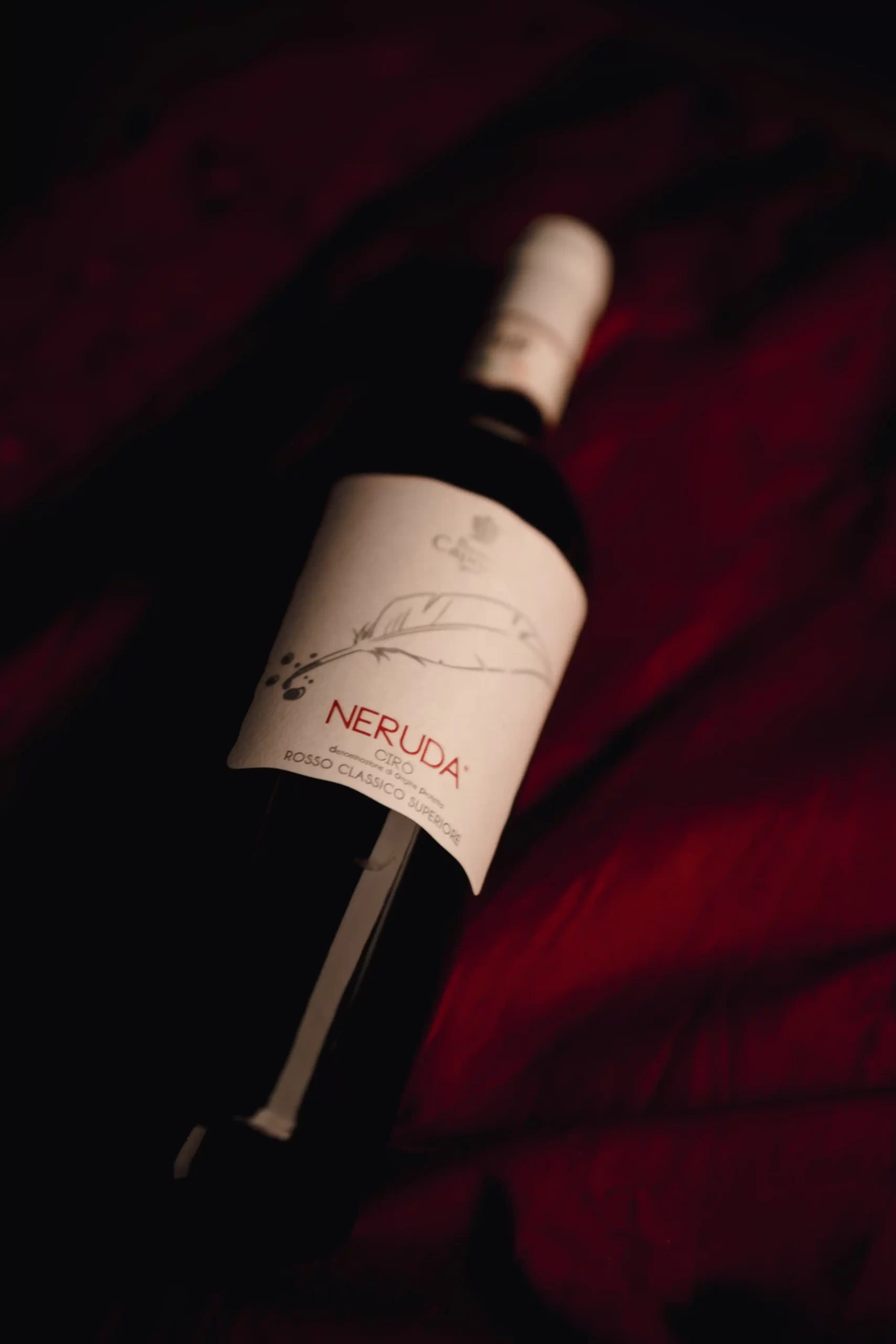 tenuta-dei-baroni-capoano-neruda-3