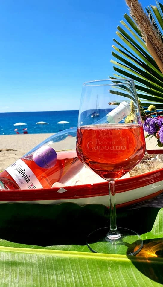 tenuta-dei-baroni-capoano-sinfonia-rosato-5