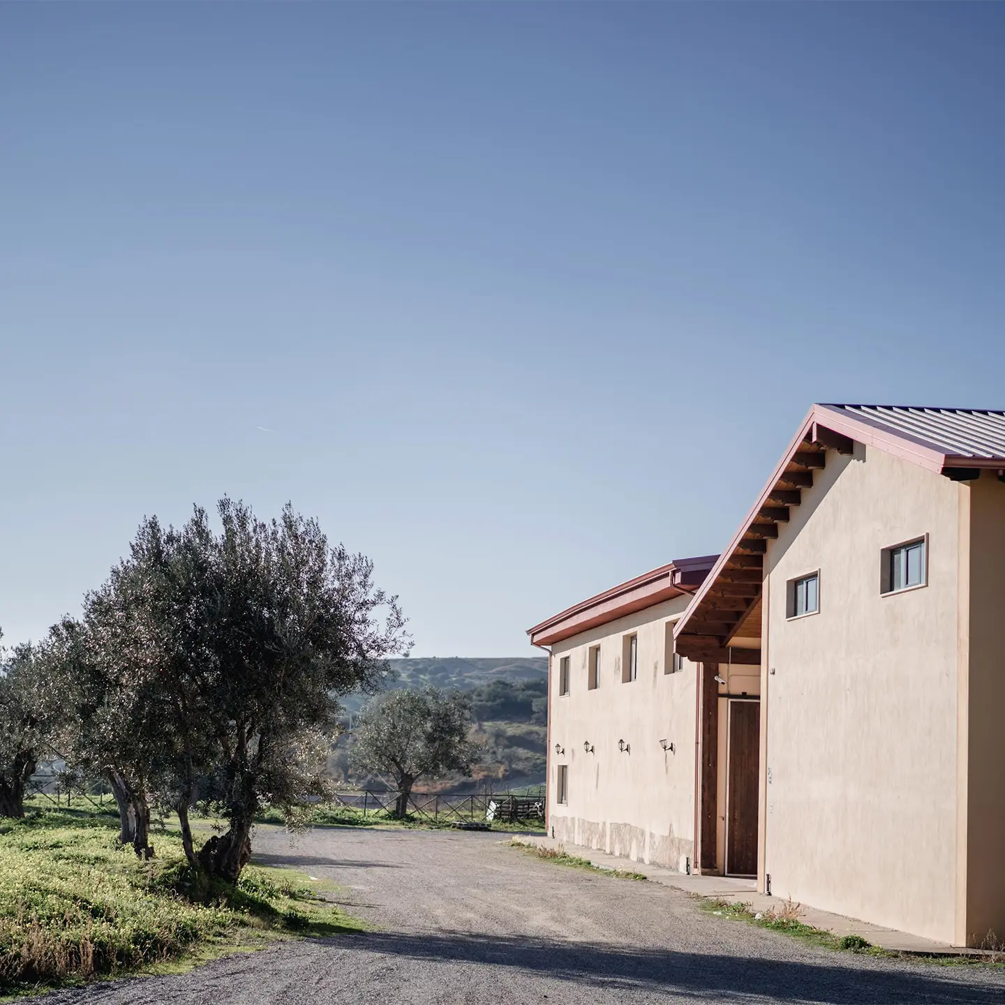 baroni-capoano-carrelli-azienda