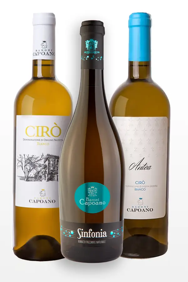Selection of white wines from Calabria
