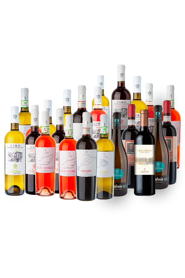 baroni-capoano-enoteca