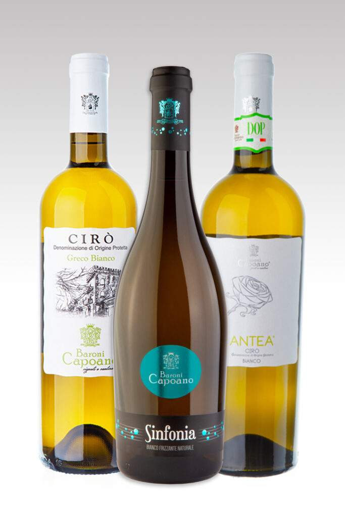 Selection of white wines from Calabria